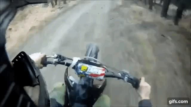 Вы так же катаетесь в лесу ? — 1