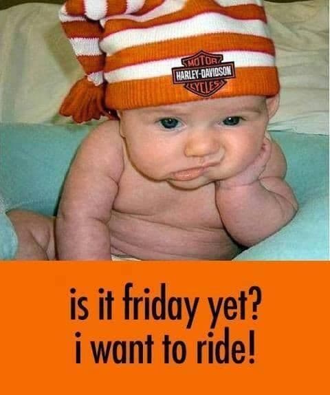 I wanna ride... — 1