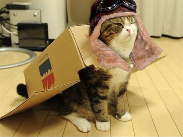 Если у вас нет денег на шлем, но остались фрукты и коробочки — 6