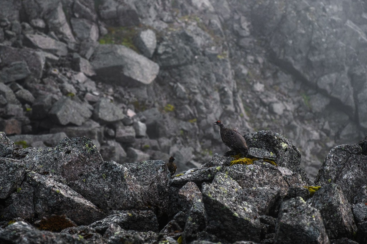 Дальние Зеленцы на классике или как я окончательно ушатал cb400ss