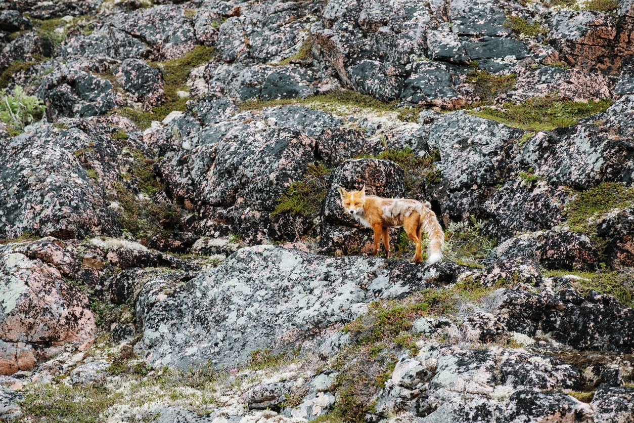 Дальние Зеленцы на классике или как я окончательно ушатал cb400ss