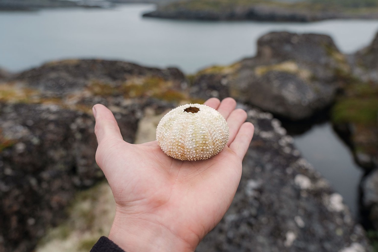 Дальние Зеленцы на классике или как я окончательно ушатал cb400ss