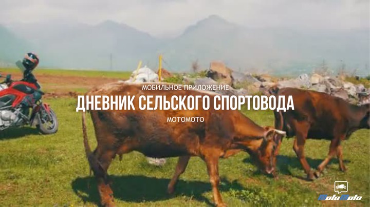 Дневник сельского спортовода