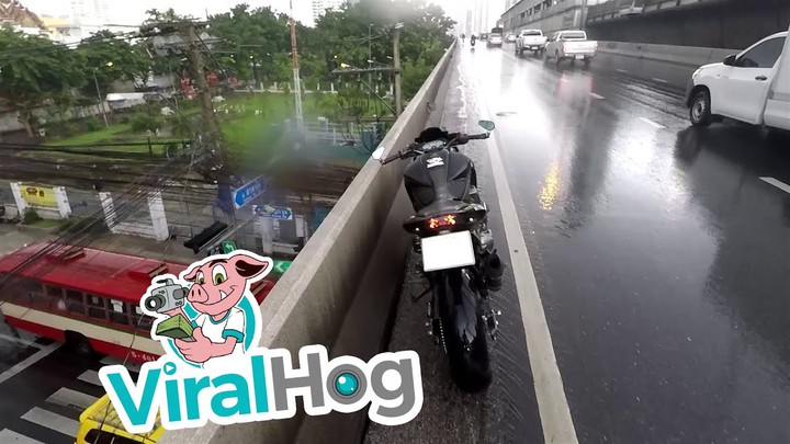 Watch this biker save a little kitten