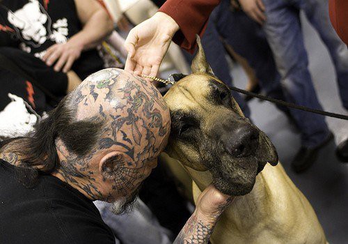 Rescue Ink