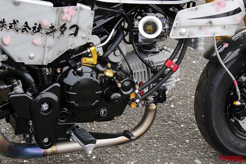 Обезьяньи фокусы: Honda Monkey 125 превратилась в кафе-рейсер