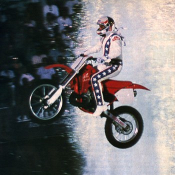 Robbie Knievel Biography