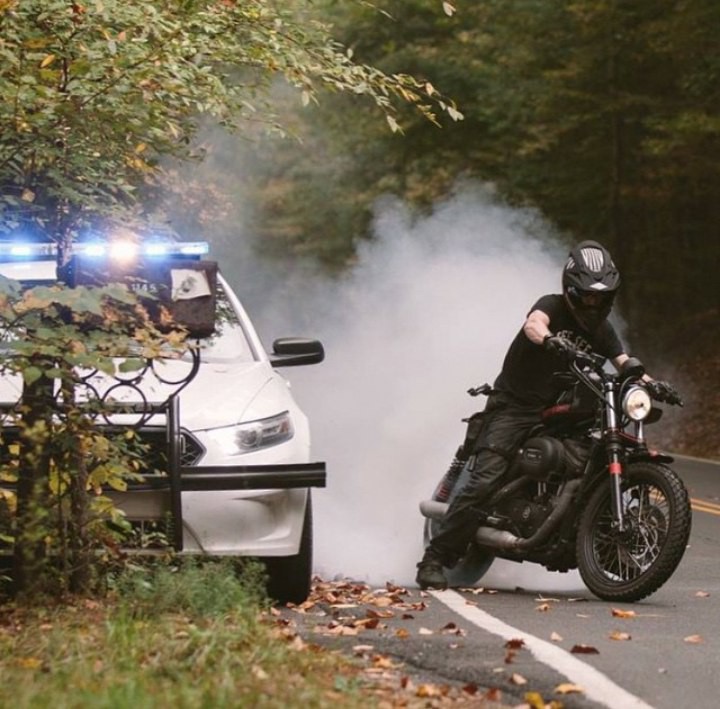 Облавы в Брянске