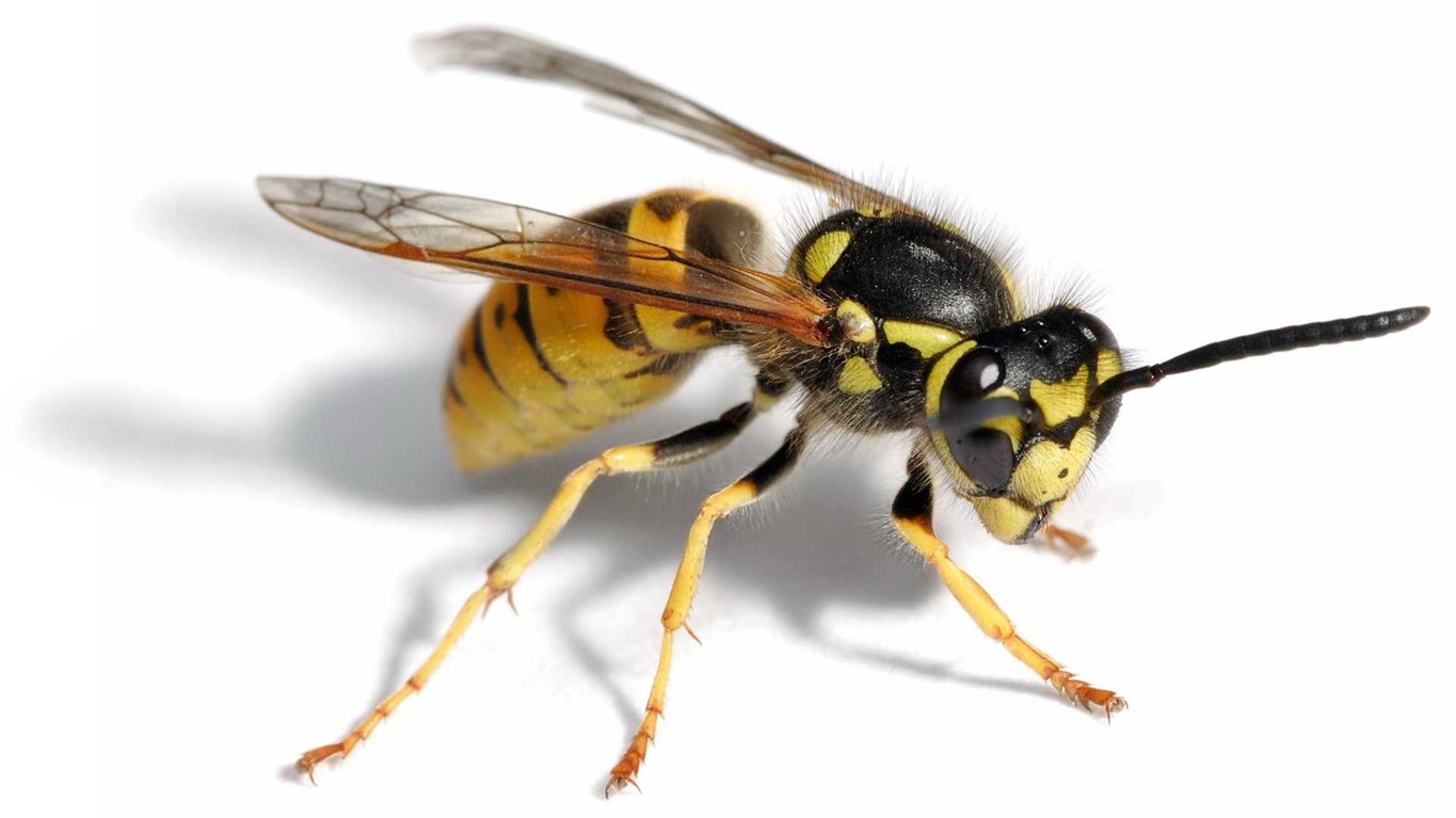 Some (More) Motorcycle Life Hacks For You