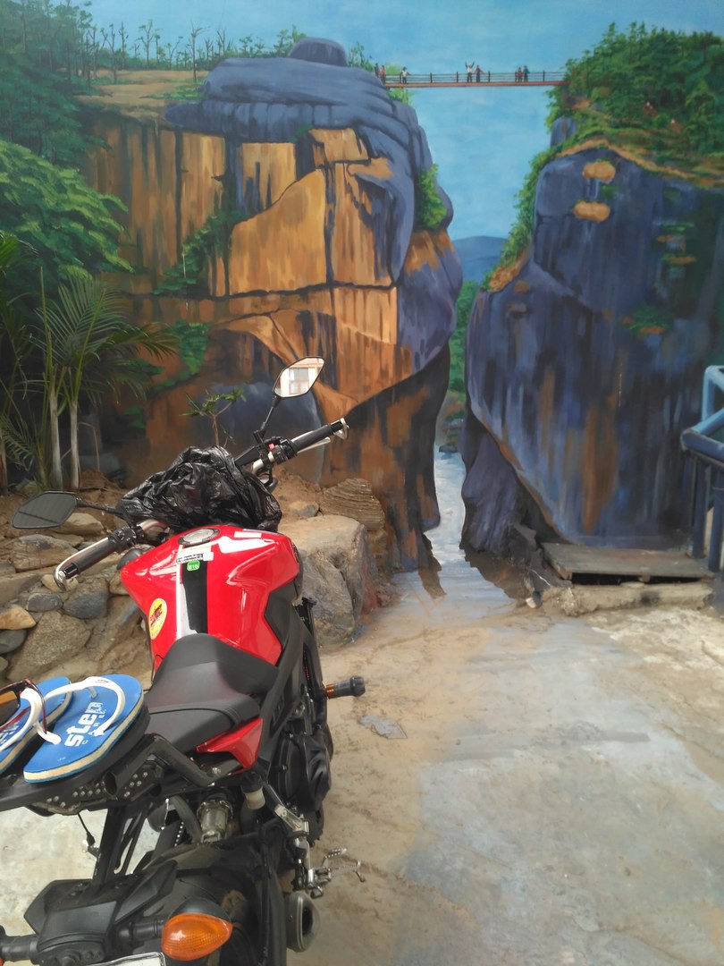 Ребят, какие планы на 2019 год?