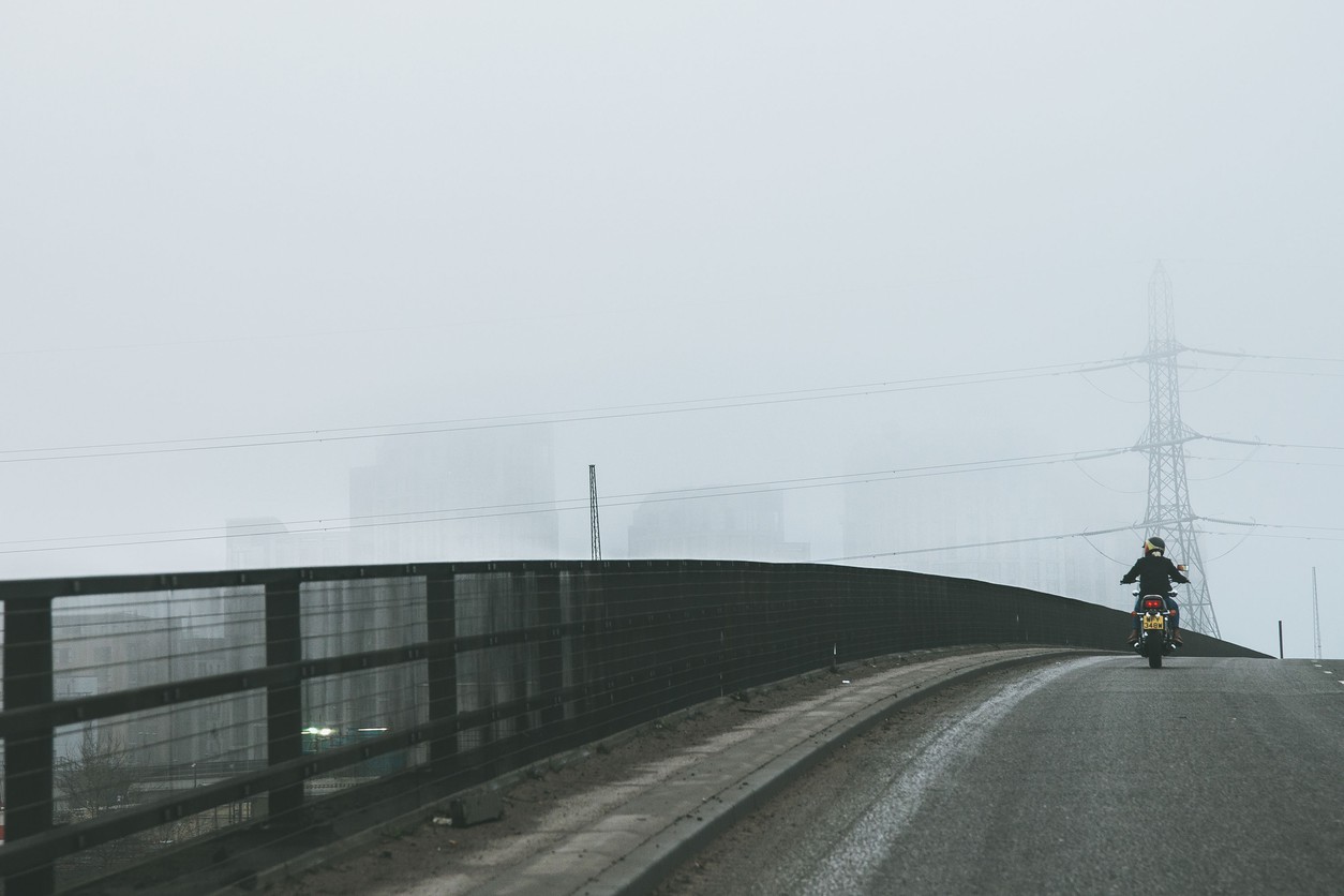 A sisterhood of the saddle