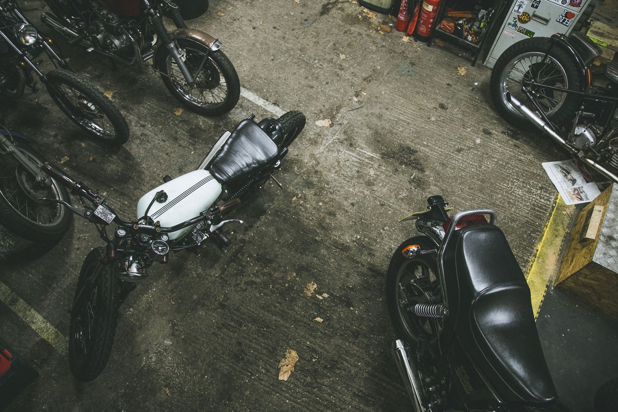 A sisterhood of the saddle