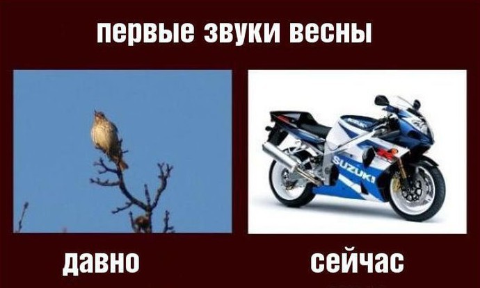 Мемасы про открытие сезона