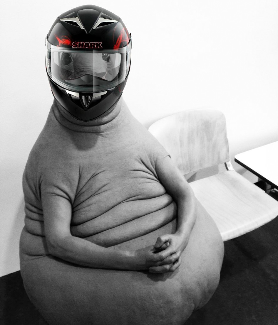 Мемасы про открытие сезона