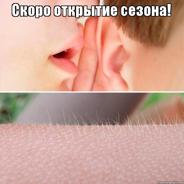 Мемасы про открытие сезона