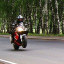 Алексей Гризли