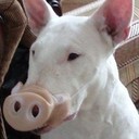 Сергей Алиев