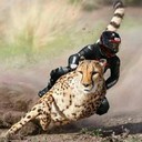 Серега Устич