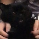 Саша Голик