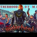 Александр Шестаков