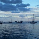 Наталья Курбатова