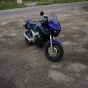 Виктор Тридрих