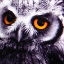 Даниил Беляев