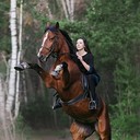Дарья Медведева