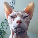Баллистик