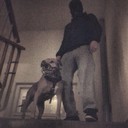 Сергей Шнитов