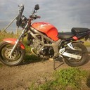 Дмитрий Колотилов