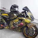 Владимир Странник