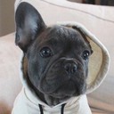 Максим Корсунцев