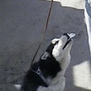 Дима Татарчук