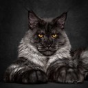Алексей Гаевец